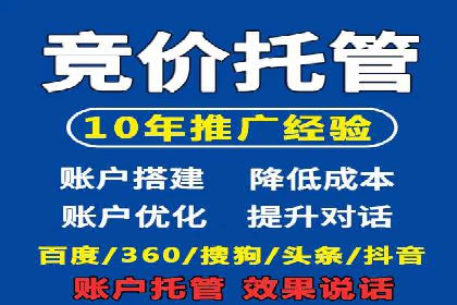 SEM竞价推广案例：电商行业成功案例解析